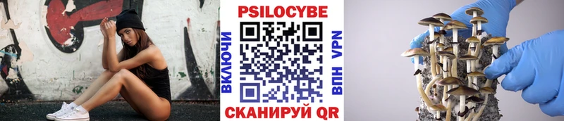 Псилоцибиновые грибы Psilocybine cubensis  Шлиссельбург 